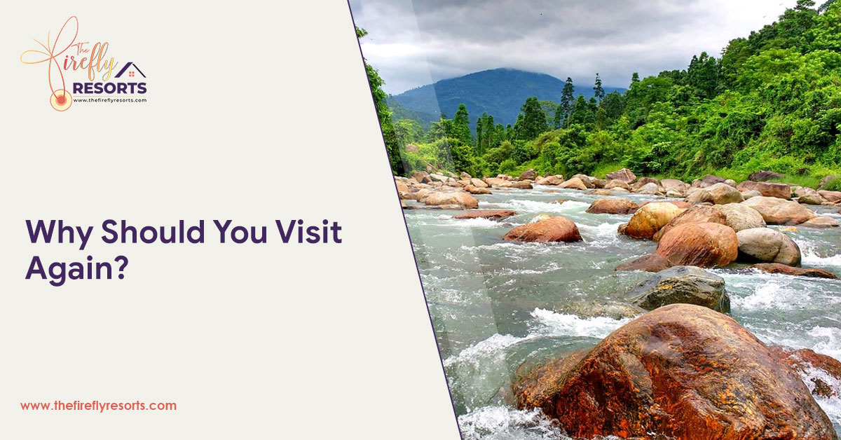 Why Should You Visit Again?